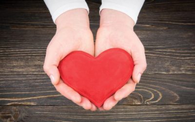 A Chance to Give – Holiday Newsletter