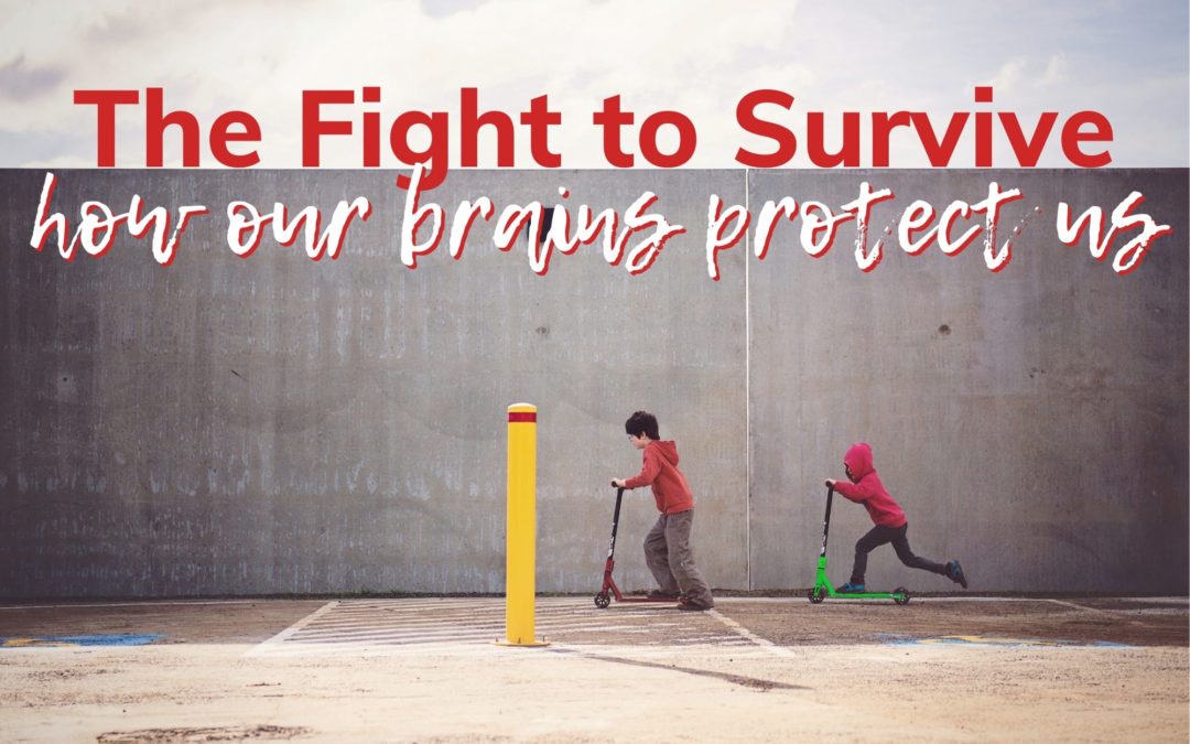 The Fight to Survive: How Our Brains Protect Us